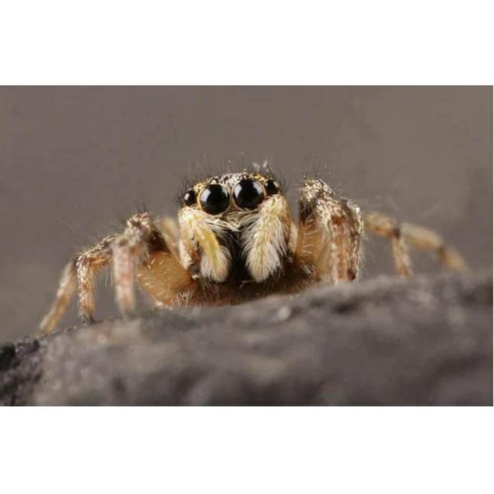 Lee Tie Dye T-Shirt Green Yellow Men's XL Vintage - Picture 5 of 12